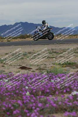 media/Jan-14-2023-SoCal Trackdays (Sat) [[497694156f]]/Turn 14 Exit Bloomig (145pm)/